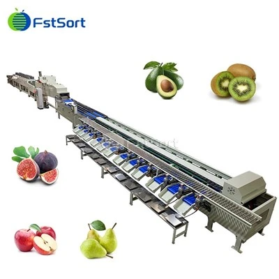 Machina automatica pa łava i fruti de figo