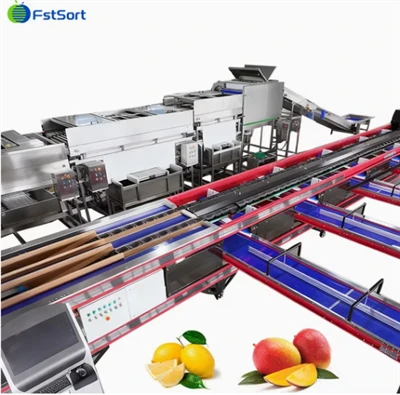 FstSort Linea de elaborasion automatica del peso del mango